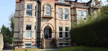 1 bed flat to rent