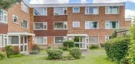 2 bed flat to rent