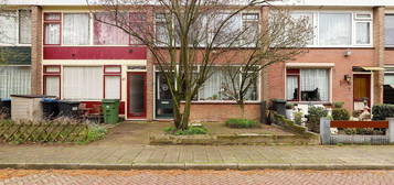 Graaf Reinoutstraat 23