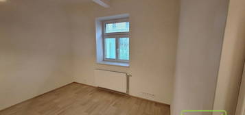 Pronájem bytu 1+1 33 m²