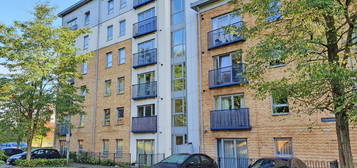 1 bed flat to rent