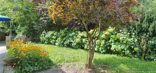 traumhafte 216 m² Wohnung in der Steirischen Toskana mit Eigengarten - Ruhelage in Ehrenhausen