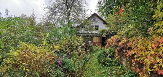 Einfamilienhaus mit Einliegerwohnung und Gartengrundstück - Holen Sie dieses Anwesen aus seinem Dornröschen-Schlaf!