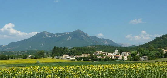 Maison de village de style Provençal avec cour et dépendance