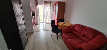 Apartament 2 camere Valea Lupului 300 euro