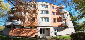 Pronájem bytu 3+1 v osobním vlastnictví 72 m², Slavonice