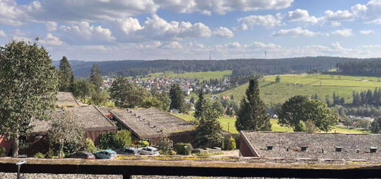 2 Zimmer Wohnung mit EBK in Schonach im Schwarzwald