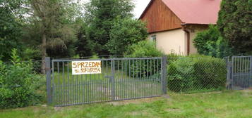 Sprzedam dom - siedlisko w Dubience