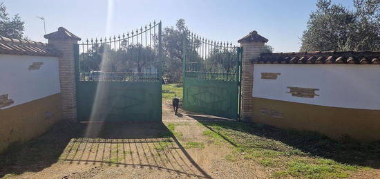 Casa rural en carretera Pilas Hinojos en Pilas