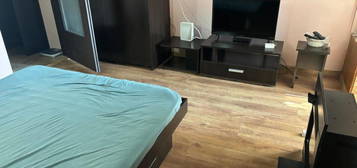 Apartament cu 1 camera in zona Palas - A. Panu