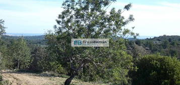 Casa rural en Cervera del Maestre