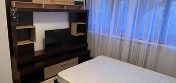 apartament 4 camere Calea Mosilor  - pet friendly