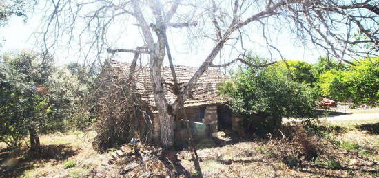 Casa de aldeia T1 em Chãos de 55,00 m²