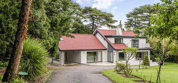 5 bedroom detached house