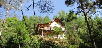 Chalet + maison de montagne à vendre