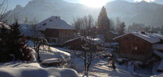 STUDIO 4 Pers - Centre station des Carroz ( domaine du grand Massif )