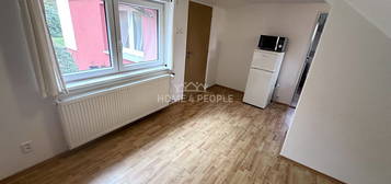 Pronájem bytu 1+1 35 m²