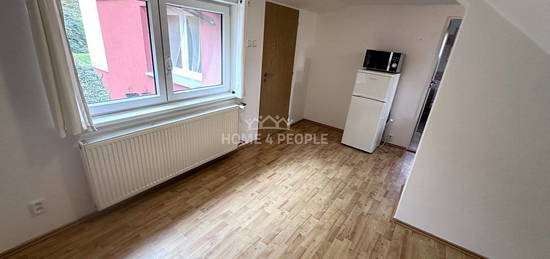 Pronájem bytu 1+1 35 m²