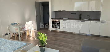 Pronájem bytu 1+kk 34 m², Svitavská, Svitavy