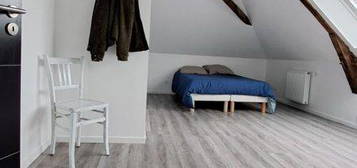 Chambre 1 piéce 20m2