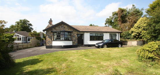 Detached bungalow to rent in Seaforde Road, Seaforde, Downpatrick BT30