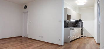 Pronájem bytu 2+kk 56 m² (Jednopodlažní)