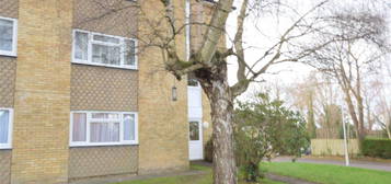 2 bed flat to rent