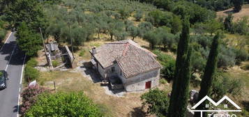 Proprietà rustica in vendita in strada Regionale 313, 37