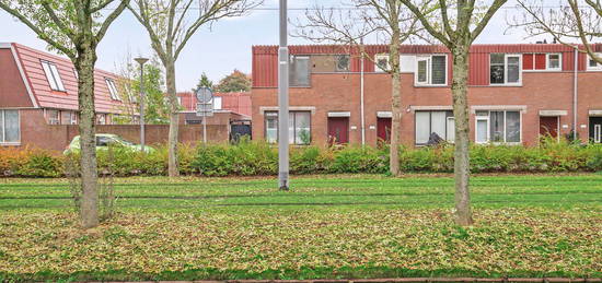 Rhijnauwensingel 342