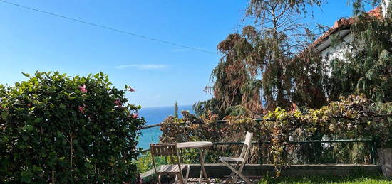 Studio mit Garten zum Vermieten auf Madeira