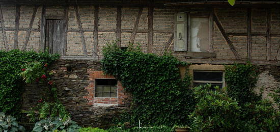 Hier werden Sie sich verlieben! Renoviertes Bauernhaus im Dorf!