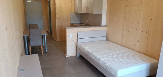 Preiswertes 1 Zimmer Appartement für Wochenendheimfahrer