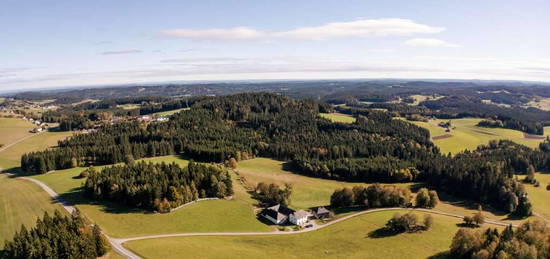 Bio-Hof mit perfekter Infrastruktur im Bezirk Freistadt - Naturparadies für Tierhaltung, Reitbegeisterte und Urlaub am Bauernhof-Anbieter