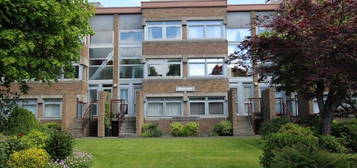 1 bed flat to rent