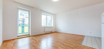 Pronájem bytu 1+kk 38 m²