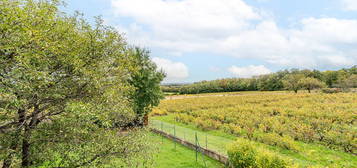 Charmante maison au coeur du Beaujolais Vert