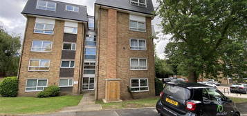 1 bed flat to rent