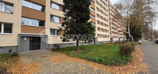 Pronájem bytu 1+1 35 m², Slovenská,