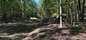 Lot 353 Diana Dr, Spring City, TN 37381