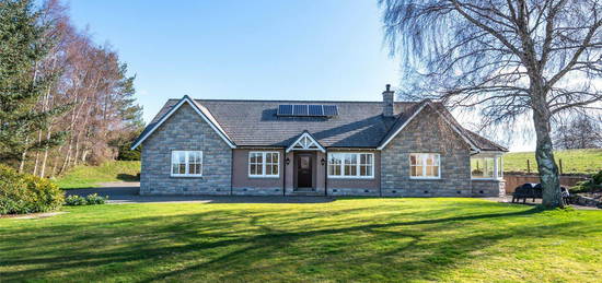 Detached bungalow to rent in Hillcrest, Craigmyle Road, Torphins, Banchory AB31