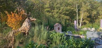 La Ferté St Aubin, Sologne, maison de charme 180 m², parcelle 1618 m², environnement forêt