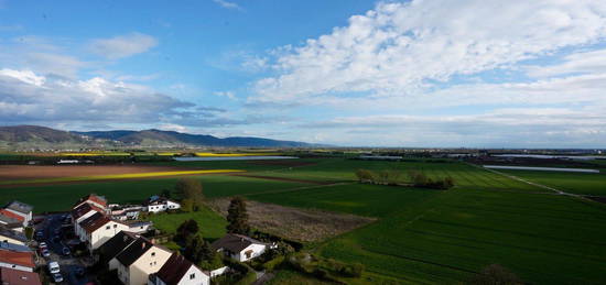 Aussicht pur! Helle, ruhige 3 Zimmerwohnung in Heddesheim