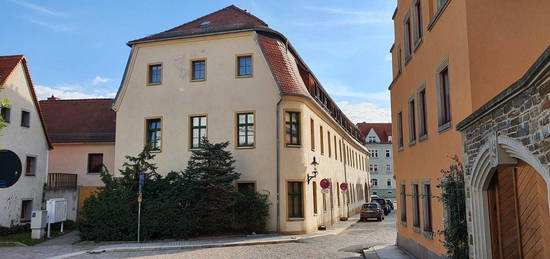 1-Zi Apartment in der schönen Altstadt mit EBK, betreutes Wohnen