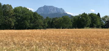Wohnen in Ohlsdorf mit Blick am Traunstein