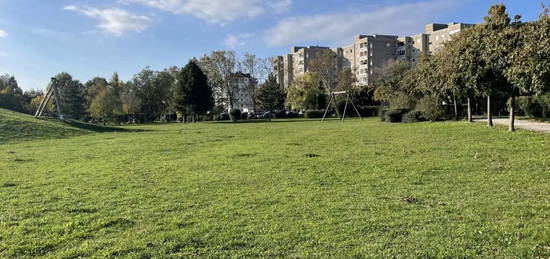 Großzügige 2 Zimmerwohnung mit Loggia am beliebten Reisenbauer-Ring