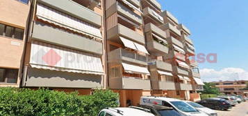 Appartamento Grosseto [Cod. rif 3186044VRG]