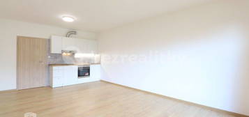 Pronájem bytu 1+kk 37 m², Lázeňská,