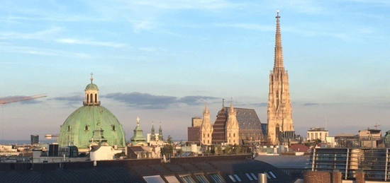 Wohnen in der City in Traumlage mit Blick auf den Stephansdorm!