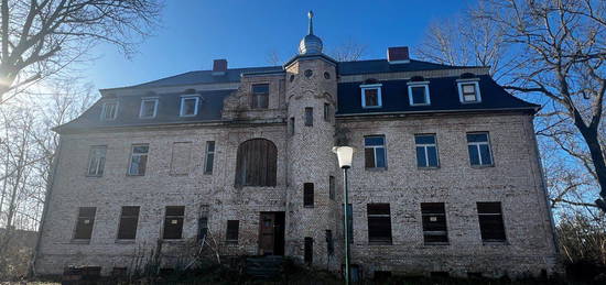 Schloss Köchstedt mit großem Grundstück u. mögl. Erw. durch Anbau