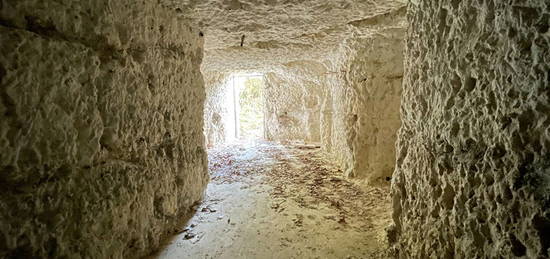 Logement troglodytique - Chissay En Touraine  4 pièce(s)